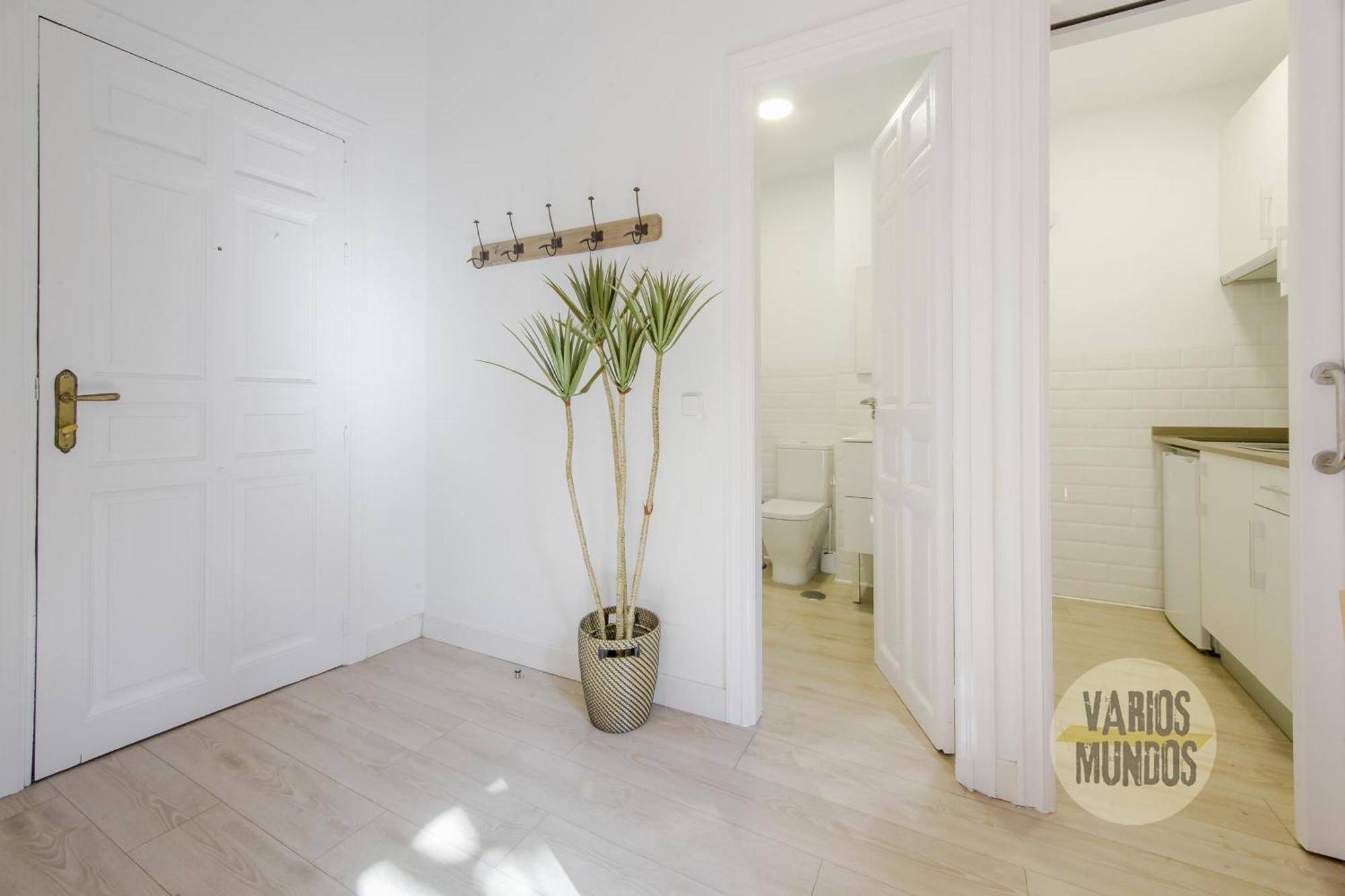 Elegant Apt Para 4Pax En Las Letras-Cortes Madrid Buitenkant foto